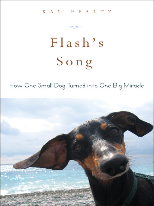 Title details for Flash's Song by Kay Pfaltz - Available